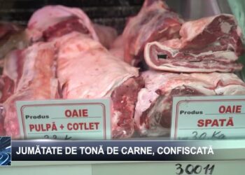 Jumătate de tonă de carne, confiscată 11 aprilie 2025 TELE`M Botoșani