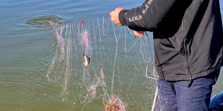 Polițiștii de frontieră botoșăneni culeg plasele de pescuit ilegale de pe Prut