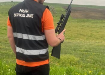 Două arme și muniție descoperite în comunele Unțeni și Tudora