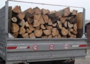 Lemne furate în miez de noapte! Polițiștii din Bucecea au prins un hoț de lemne cu marfa „la vedere”