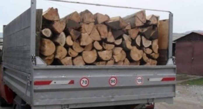 Lemne furate în miez de noapte! Polițiștii din Bucecea au prins un hoț de lemne cu marfa „la vedere”