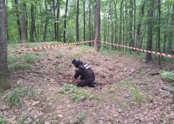 Descoperire periculoasă într-o pădure din Băiceni