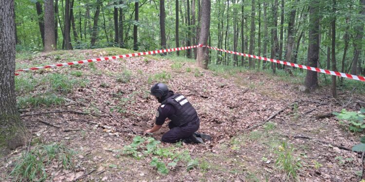 Descoperire periculoasă într-o pădure din Băiceni