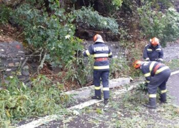 Furtuni puternice au afectat mai multe județe din Moldova: acoperiș smuls în Suceava, drum blocat în Neamț