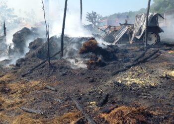 Zece tone de furaje, un tractor și o remorcă – făcute scrum din cauza unui flex!