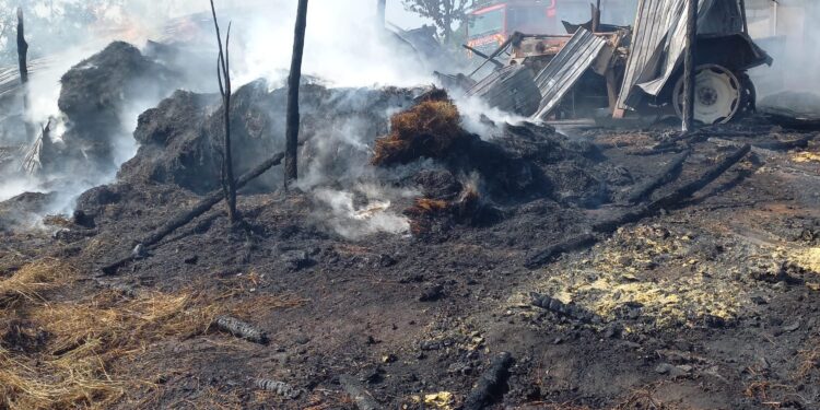 Zece tone de furaje, un tractor și o remorcă – făcute scrum din cauza unui flex!