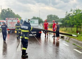 Stâlp de telefonie doborât de vânt, prăbușit peste o autoutilitară în Orășeni Deal