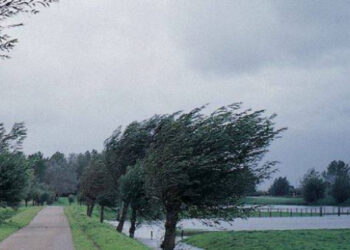 ALERTĂ METEO în județul Botoșani! Cod galben de vânt puternic