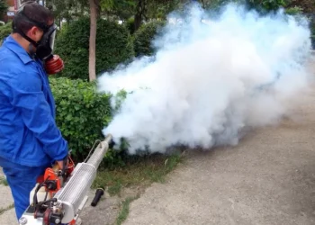 Operațiune de dezinsecție în municipiul Botoșani. Vezi în ce zone