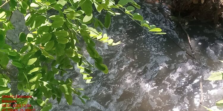 Canalizarea orașului varsă mizerii direct în râu! GARDĂ DE MEDIU: Apă neagră, miros pestilențial și amenzi uriașe!