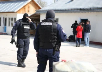 Polițiștii dau iama în casa contrabandiștilor de țigări din Botoșani