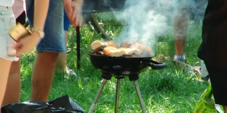 A încins grătarul în parc și a încasat o amendă „picantă”!