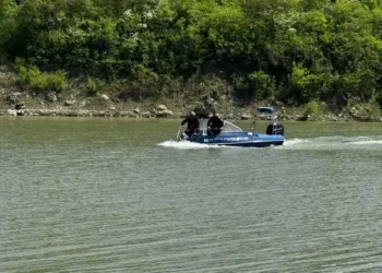 Plase ilegale de peste un kilometru, scoase de polițiștii de frontieră