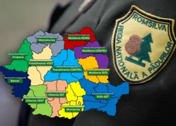 Scandal uriaș pe pădurile României! Ministerul Justiției „taie macaroana” reorganizării Romsilva – proiectul e plin de greșeli și ilegalități