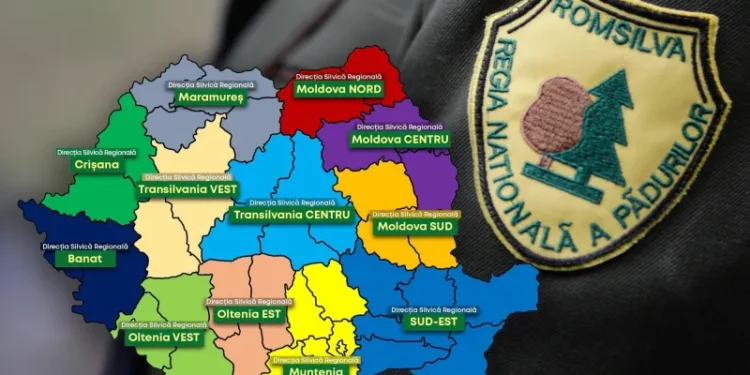 Scandal uriaș pe pădurile României! Ministerul Justiției „taie macaroana” reorganizării Romsilva – proiectul e plin de greșeli și ilegalități
