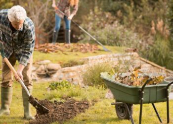 Românii care locuiesc la curte, în pericol de amenzi uriașe pentru un gest banal!