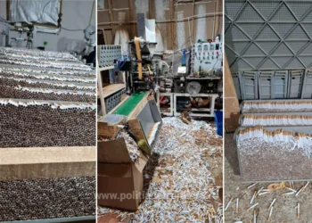 Fabrica ilegală de țigări descoperită în România! 9 persoane reținute, peste 61 de tone de tutun și milioane de țigarete confiscate