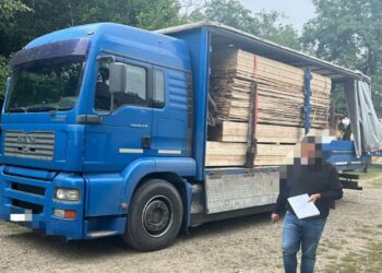 Doi șoferi prinși cu lemne fără acte, unul avea 16 metri cubi în autoutilitară