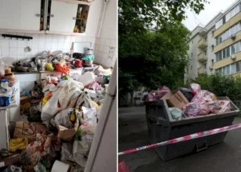 Mizerie, gândaci și mirosuri insuportabile! Poliția Locală a dat amenzi usturătoare la Botoșani!