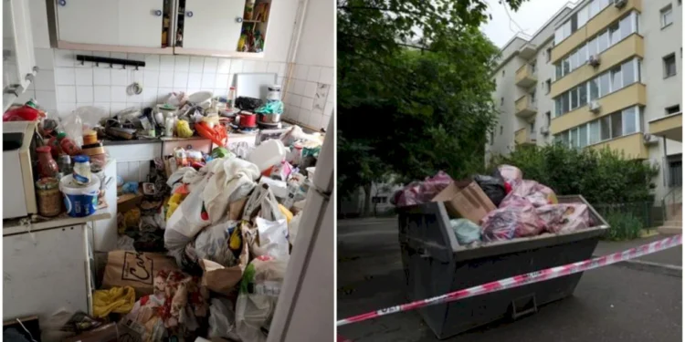 Mizerie, gândaci și mirosuri insuportabile! Poliția Locală a dat amenzi usturătoare la Botoșani!