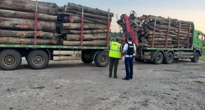 Polițiștii din Botoșani au refuzat banii ascunși în RCA și au dat în vileag un transport ilegal de lemne