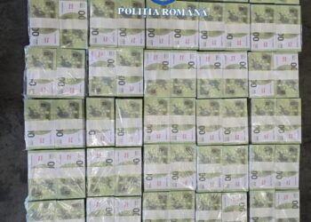 Aproape 1 miliard de euro contrafăcuți, găsiți în Constanța! Operațiune sub egida Europol