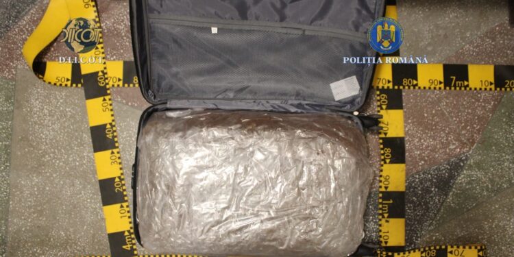 Flagrant șocant la Botoșani! 31 kg de canabis descoperite în trolere