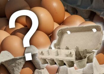 Locatar furios a aruncat cu apă și ouă crude în gospodarul care mătura frunzele – fugăreala a continuat prin scara blocului!