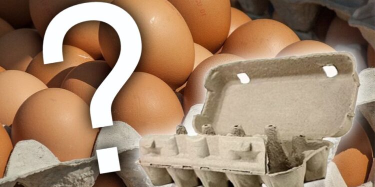 Locatar furios a aruncat cu apă și ouă crude în gospodarul care mătura frunzele – fugăreala a continuat prin scara blocului!