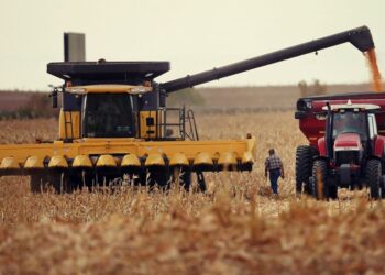 Bani europeni pentru fermieri și afaceri din agricultură! AFIR anunță finanțări uriașe în 2025-2026!