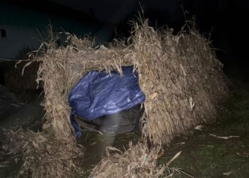 Tânăr de 20 de ani, arestat după un accident mortal