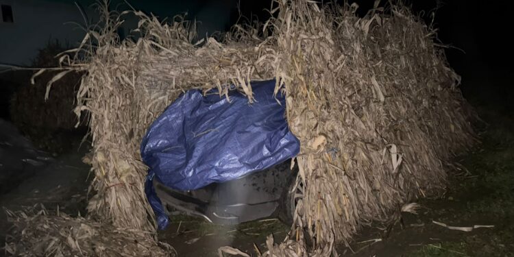 Tânăr de 20 de ani, arestat după un accident mortal