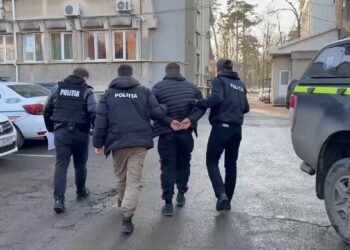 Un tânăr de 26 de ani, reținut după ce ar fi intrat peste un bătrân de 82 de ani și i-ar fi ucis câinele