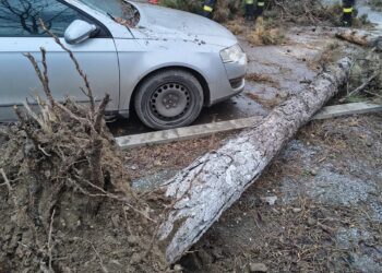 HAOS PE STRADA PACEA! VÂNTUL A FĂCUT PRĂPĂD: COPACI SMULȘI, STÂLP DOBORÂT, MAȘINĂ AVARIATĂ