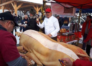 DSVSA anunță: porcul poate fi sacrificat doar legal.