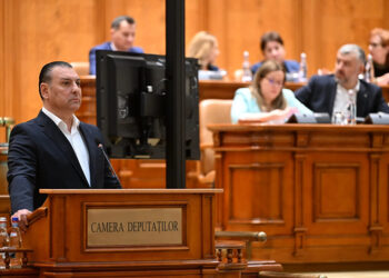 Nicolae Păun a mers la Guvern cu lista nemulțumirilor romilor