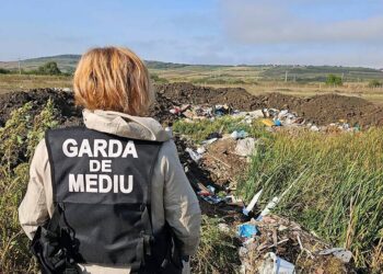 438 de controale, amenzi de aproape 6 milioane de lei și 12 dosare penale – bilanțul negru al anului 2025