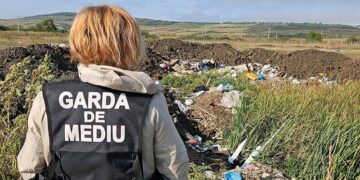 438 de controale, amenzi de aproape 6 milioane de lei și 12 dosare penale – bilanțul negru al anului 2025