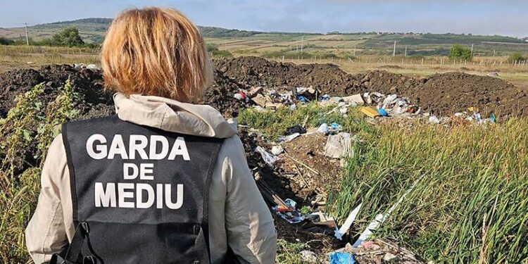 438 de controale, amenzi de aproape 6 milioane de lei și 12 dosare penale – bilanțul negru al anului 2025