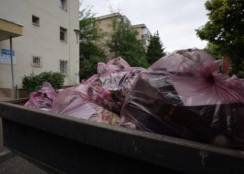 Vecinii în stare de revoltă! Locuințe transformate în focare de mizerie și pericol pentru sănătate în Botoșani