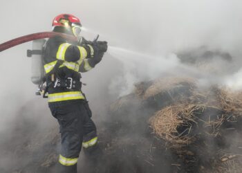 Adăpost de animale cuprins de flăcări în urma unui scurtcircuit, la Liveni