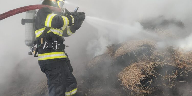 Adăpost de animale cuprins de flăcări în urma unui scurtcircuit, la Liveni