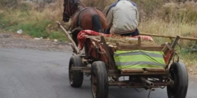 BĂRBAT DE 67 DE ANI, REȚINUT DUPĂ CE A FOST PRINS CU VÂNAT ASCUNS ÎN CĂRUȚĂ