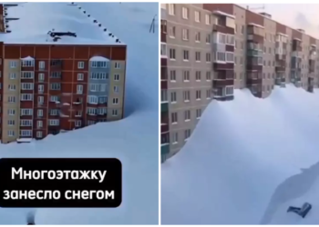 GERUL APOCALIPTIC LOVEȘTE ASIA!