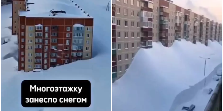 GERUL APOCALIPTIC LOVEȘTE ASIA!