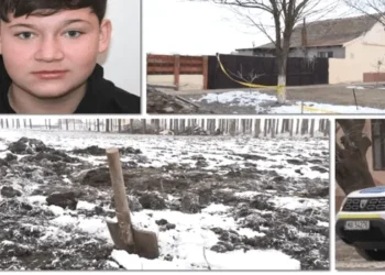 CRIMĂ ÎNGROZITOARE LA CENEI! Copil de 15 ani ucis cu toporul și cuțitul, incendiat și îngropat în grădină de alți adolescenți