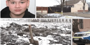 CRIMĂ ÎNGROZITOARE LA CENEI! Copil de 15 ani ucis cu toporul și cuțitul, incendiat și îngropat în grădină de alți adolescenți
