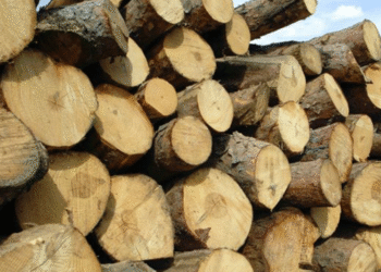 Transport ilegal oprit în plină zi, la Dorohoi!