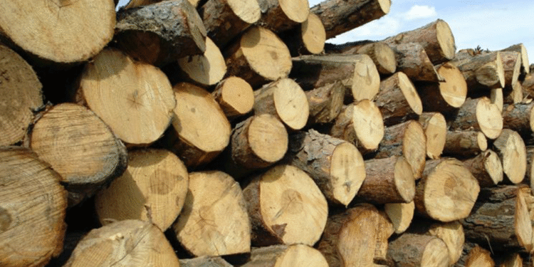 Transport ilegal oprit în plină zi, la Dorohoi!