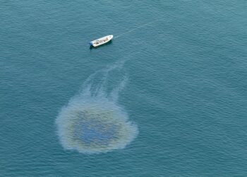 ȘTIAȚI CĂ… părul tău poate salva oceanele de petrol?